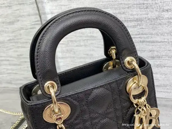 Tony Luxuries diro Mini Lady Calfskin 0704